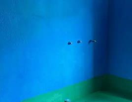 香坊卫生间测漏水多少钱